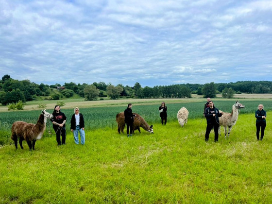 Gruppenbild: Teilnehmerinnen des Weiterbildungskurses mit den ihnen anvertrauten Lamas