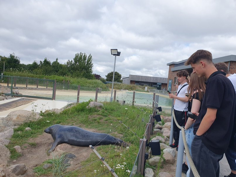 Seehundstation mit Schüler*innen