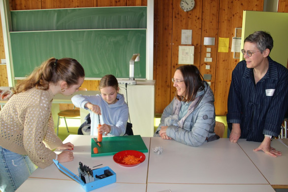 Karottenflöten bauen
