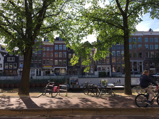 Tagesausflug nach Amsterdam