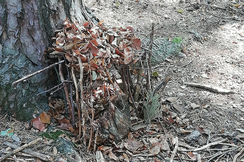 gut getarntes Waldwichtelhäuschen