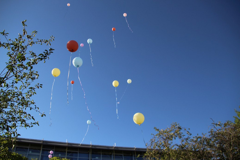Während der Abschlussfeier steigen bunte Luftballons vor blauem Himmel auf; unten die Dachkante des Schulgebäudes, seitlich grüne Bäume.