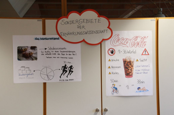 Wahlpflichtfächer "Sondergebiete der Ernährung" und "Sozialmanagment" im SGG Wahlpflichtfächer "Sondergebiete der Ernährung" und "Sozialmanagment" im SGG