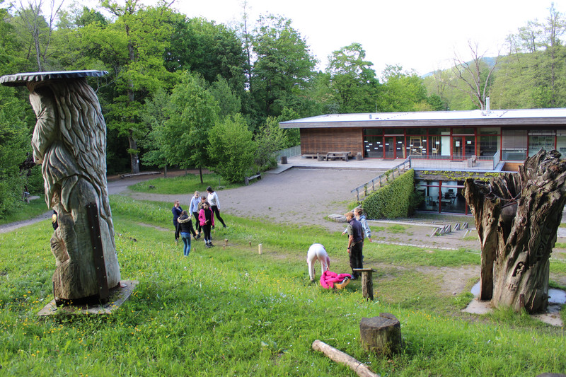 Kubb-Spiel im Grünen