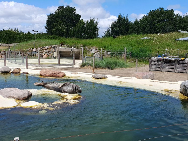Seehundstation