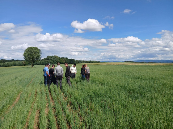 Schülerinnnen und Schüler aus dem ersten Lehrjahr Landwirtschaft stehen als Gruppe auf einem Haferfeld 
