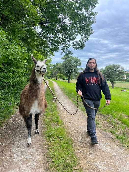 Weiterbildungsteilnehmer beim Führen eines Lamas