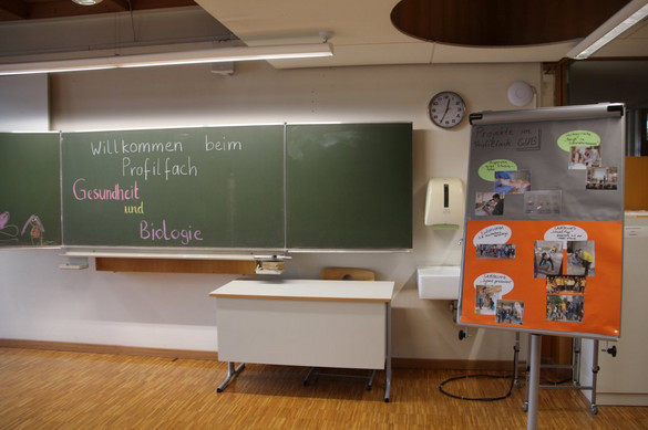 Profilfach "Gesundheit und Biologie" im SGG Profilfach "Gesundheit und Biologie" im SGG