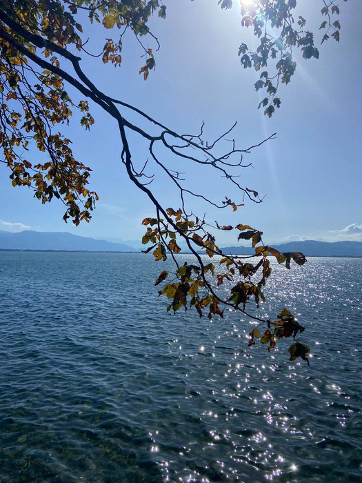 06.10. Lindau